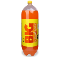 Big Cam 3.1L