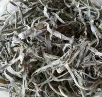 Phổ tai