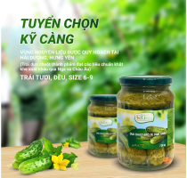 Dưa chuột bao tử dầm giấm