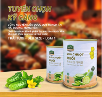 Dưa chuột muối