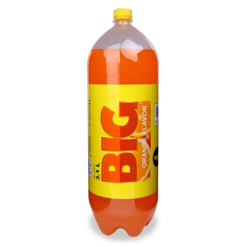 Big Cam 3.1L