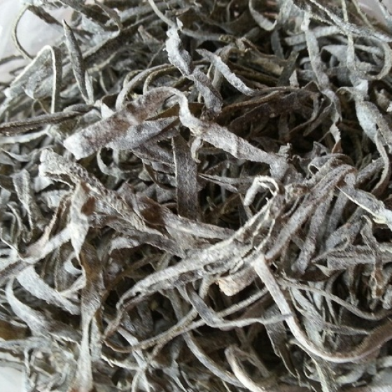 Phổ tai