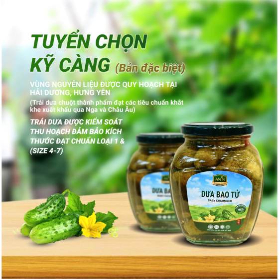 Dưa bao tử